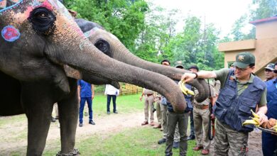 मुख्यमंत्री पुष्कर धामी ने कार्बेट नेशनल पार्क में की जंगल सफारी, मां के नाम पौधे रोपे, वन्य जीवन की अद्भुत और रोमांचकारी झलक का किया अनुभव
