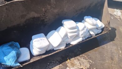 धामी सरकार ने त्योहारी सीजन में मिलावटखोरों पर कसा शिकंजा-देहरादून व हरिद्वार में बड़ा एक्शन, 180 किलो पनीर नष्ट, सैंपल जांच के लिए भेजे