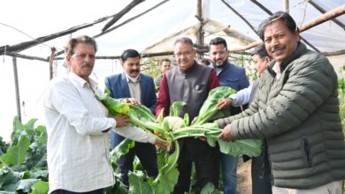कृषि मंत्री जोशी ने कुमाऊँ दौरे में   अल्मोड़ा के भगरतौला में किसानों से किया संवाद,  पॉलीहाउस क्लस्टर मॉडल की सराहना