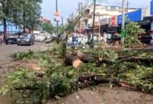 बदला मौसम – उत्तराखंड के कई जिलों  में आंधी-तूफान व तेज बारिश, कई जगह पेड टूटे और बिजली आपूर्ति हुई बाधित , तापमान में आई गिरावट