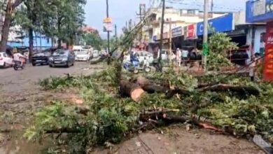 बदला मौसम – उत्तराखंड के कई जिलों  में आंधी-तूफान व तेज बारिश, कई जगह पेड टूटे और बिजली आपूर्ति हुई बाधित , तापमान में आई गिरावट