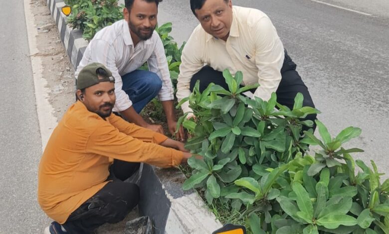 सीएम पुष्कर धामी के विजन को मिली रफ्तार- एमडीडीए उपाध्यक्ष बंशीधर तिवारी के नेतृत्व में हरा-भरा हो रहा दून, कार्यालय जातेे समय रुककर परखी हरियाली की जमीनी हकीकत सीएम पुष्कर धामी के विजन को मिली रफ्तार- एमडीडीए उपाध्यक्ष बंशीधर तिवारी के नेतृत्व में हरा-भरा हो रहा दून, कार्यालय जातेे समय रुककर परखी हरियाली की जमीनी हकीकत