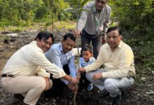 हरेला पर एमडीडीए ने चलाया हरियाली का महाअभियान : उपाध्यक्ष बंशीधर तिवारी बोले- पेड़ नहीं, आने वाली पीढ़ियों का भविष्य लगा रहे