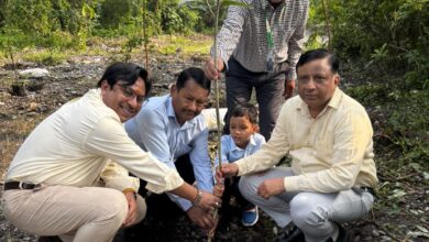 हरेला पर एमडीडीए ने चलाया हरियाली का महाअभियान : उपाध्यक्ष बंशीधर तिवारी बोले- पेड़ नहीं, आने वाली पीढ़ियों का भविष्य लगा रहे