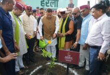 लोक संवर्धन पर्व के तहत हरेला उत्सव में शामिल हुए सीएम धामी , कहा – हरेला केवल पर्व नहीं, प्रकृति संरक्षण और सांस्कृतिक विरासत से जुड़ने का जनआंदोलन