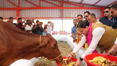 निराश्रित गोवंश को मिलेगा सुरक्षित आश्रय : मुख्यमंत्री धामी ने हल्दीघेरा, खटीमा में 7.23 करोड़ की लागत से निर्मित गौशाला का किया लोकार्पण, 108.84 करोड़ की 15 विकास योजनाओं का किया शिलान्यास